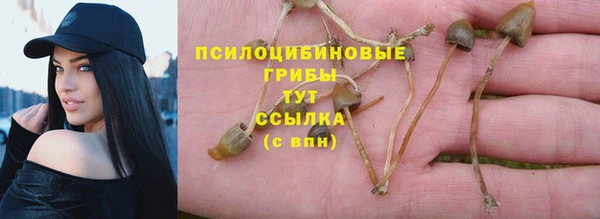 соль ск Протвино