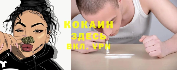 соль ск Протвино